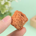 10Pcs Ceramic Aquarium Plant Fixing Rings – Fish Tank Anchor Aquarium Plant Rings Qst 10pcs