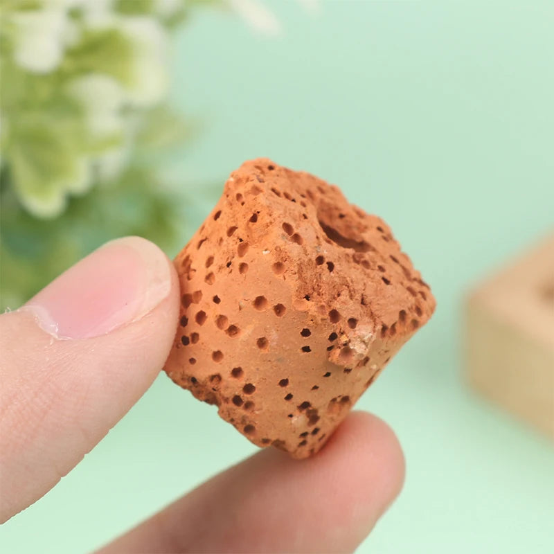 10Pcs Ceramic Aquarium Plant Fixing Rings – Fish Tank Anchor Aquarium Plant Rings Qst 10pcs