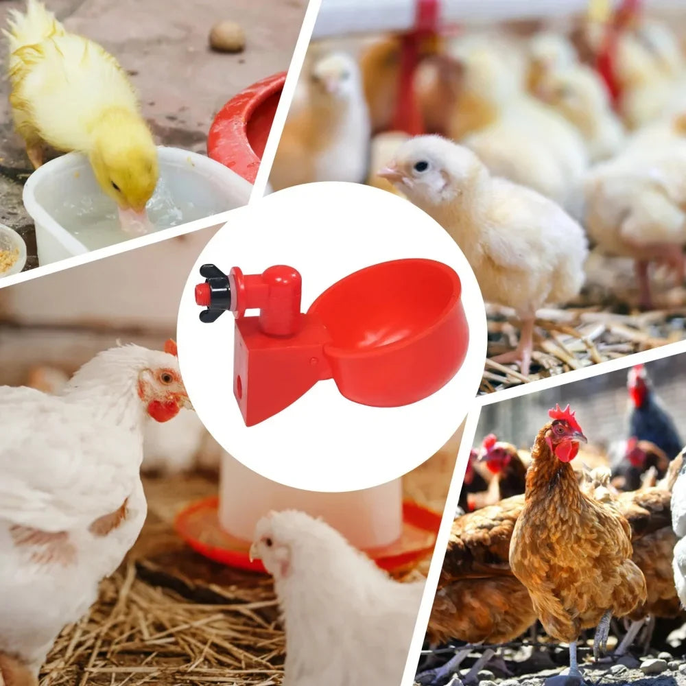 Automatic Poultry Water Dispenser for Chickens, Geese & Quail Poultry Water Dispenser Qme