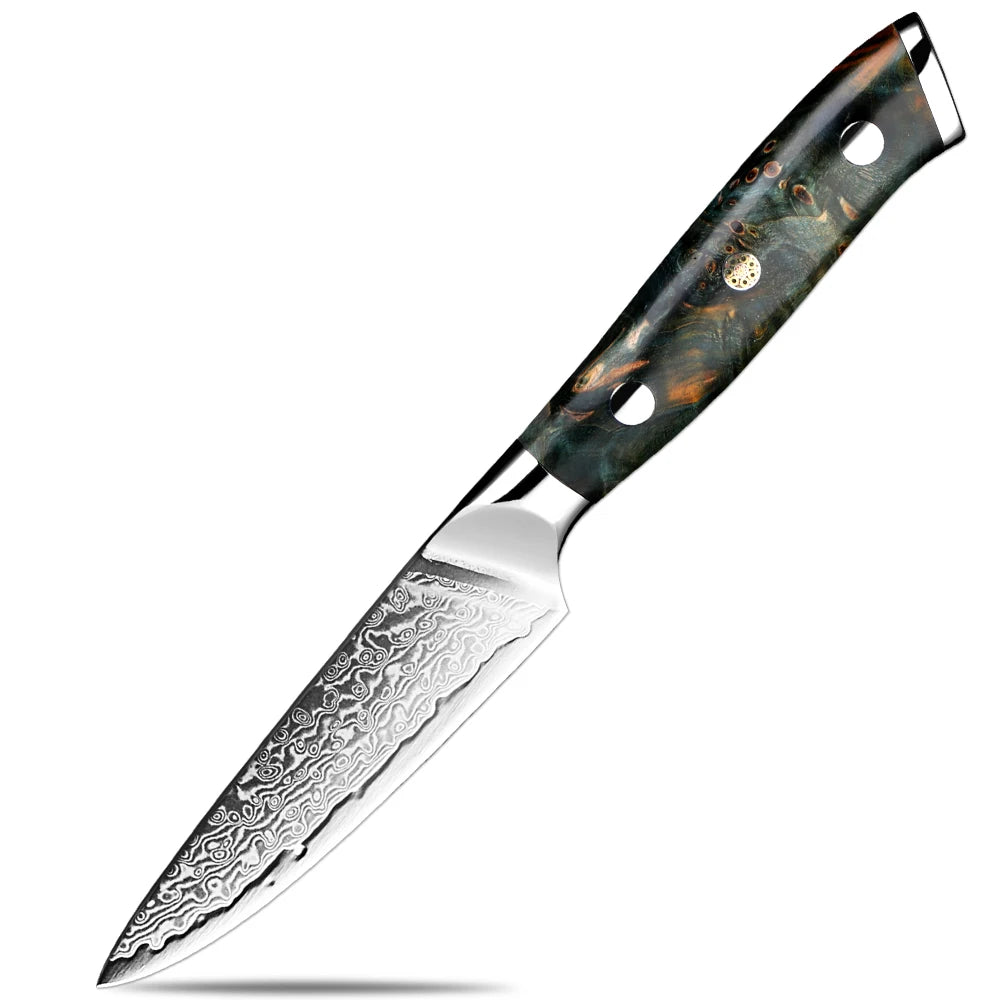 XITUO Damascus Kitchen Knife Set 1-6PCS – Santoku & Boning Kitchen Knife Set Qst fruit knife