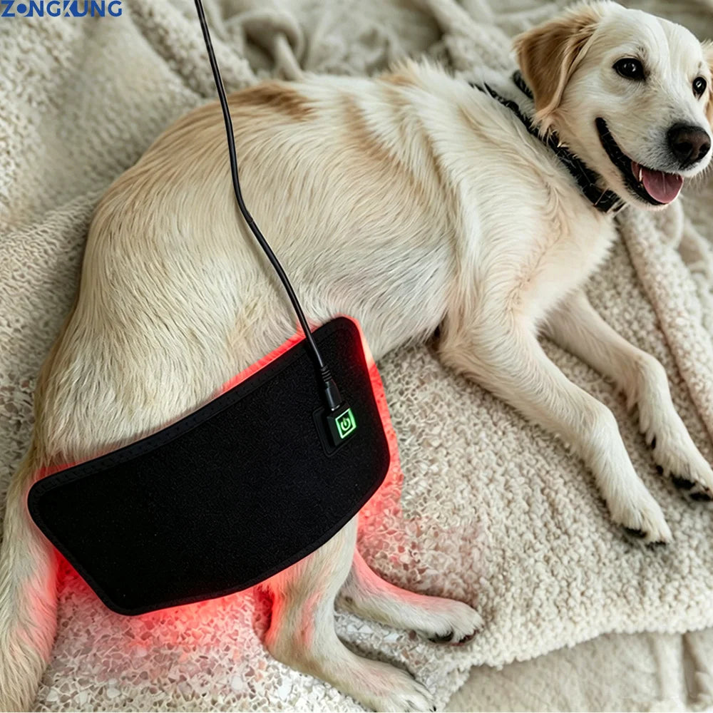 ZONGKUNG Pet Red Light Therapy Belt – 660nm & 850nm, 60 LEDs Pet Light Therapy Belt Qst