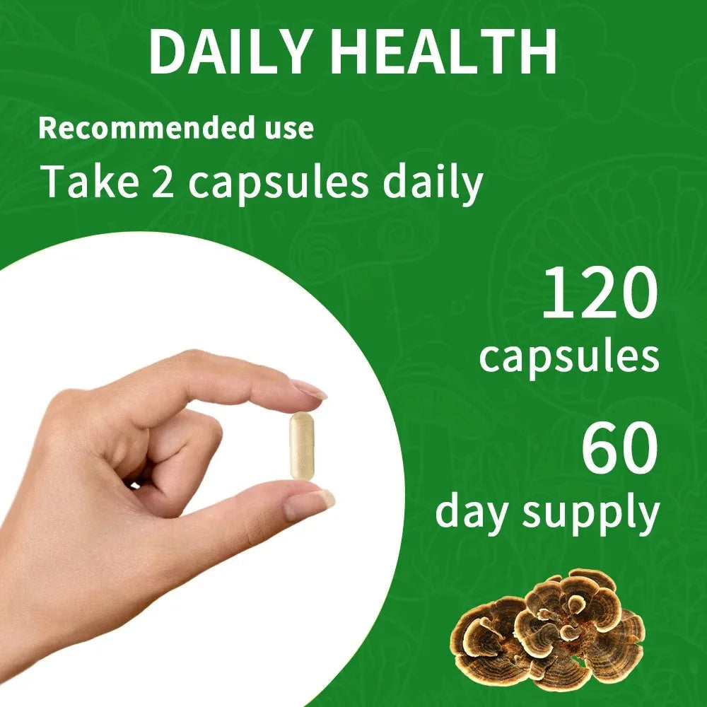 Turkey Tail Mushroom Supplement – Vegan, Non-GMO, 120 Caps Mushroom Supplement Qst