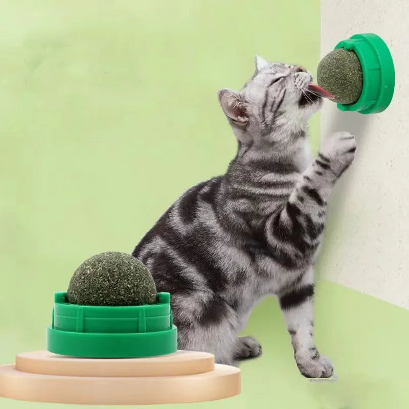 Catnip Wall Stick-On Ball Toy – Natural Cat Grass & Dental Cat Catnip Toy Qst