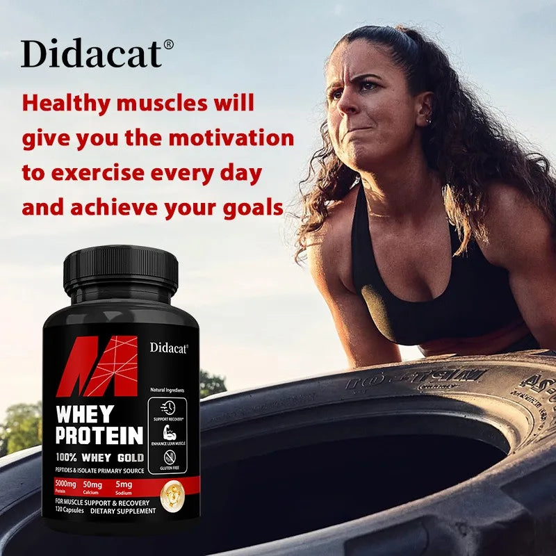 Didacat Whey Protein Concentrate 5000mg – Gluten Free, Non-GMO Protein Supplement Qst