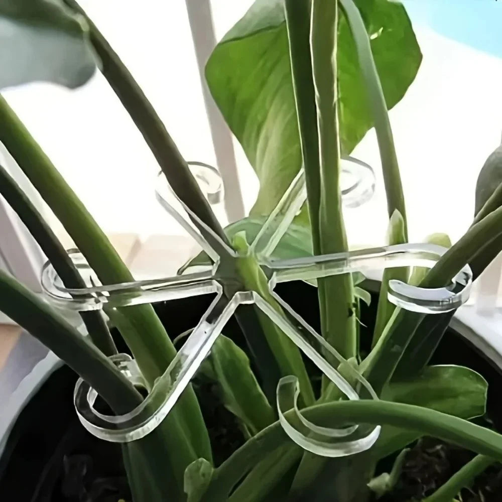 Plant Stem Support Clips Turtle Back Flower Fixing Rack 4pcs Plant Support Clips Qme