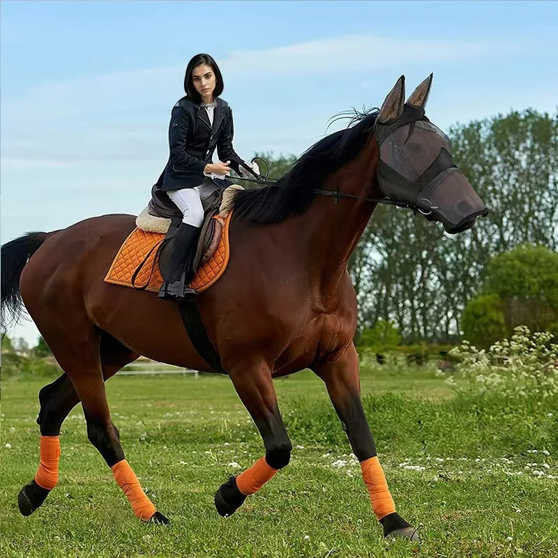 Caremaster Full Face Horse Fly Mask – Cool Breeze Mesh Horse Fly Mask Qme