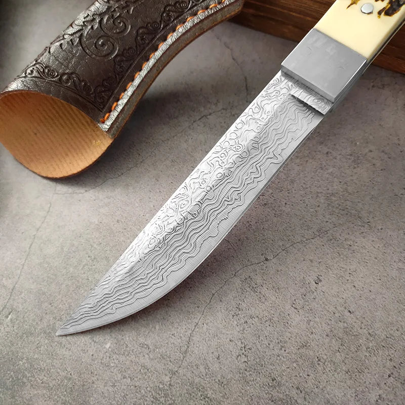 InLeung Damascus Steel Fruit & Meat Knife – Sharp 5Cr15Mov Damascus Kitchen Knife Qst