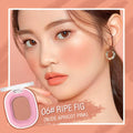 Matte Blush Powder – Natural Nude Cheek Rouge | Qme Matte Blush Powder Qme Nude Tone