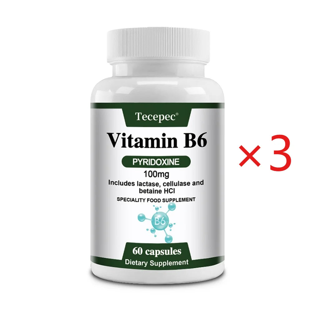 ZENVITALIZE Vitamin B6 Capsules – Non-GMO, Vegetarian Vitamin B6 Supplement Qst 60 count-3 bottle