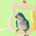 Natural Wood Parrot Perch Swing – Bird Cage Accessory Bird Cage Accessory Qme China Mainland