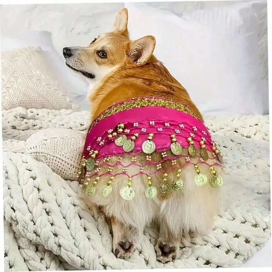 Shiny Belly Dance Bib Headband – Adjustable Festive Accessory Festive Headband Qme