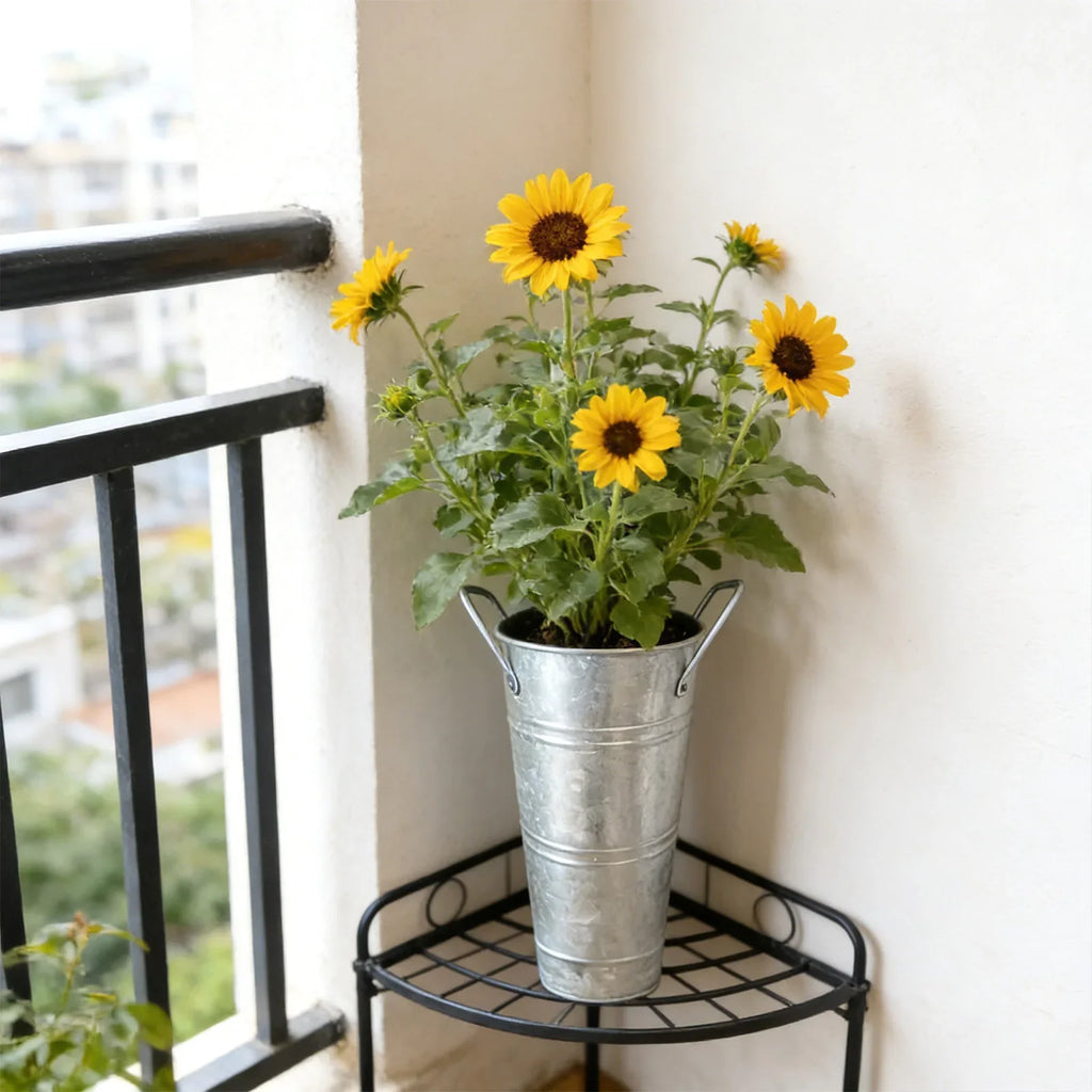 Small Galvanized Tin Flower Buckets with Handles – Set of 6 Decorative Tin Buckets Qme