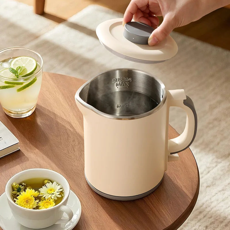 HAOYUNMA 1L 800W Stainless Steel Electric Kettle – Auto-Off Electric Kettle Qst