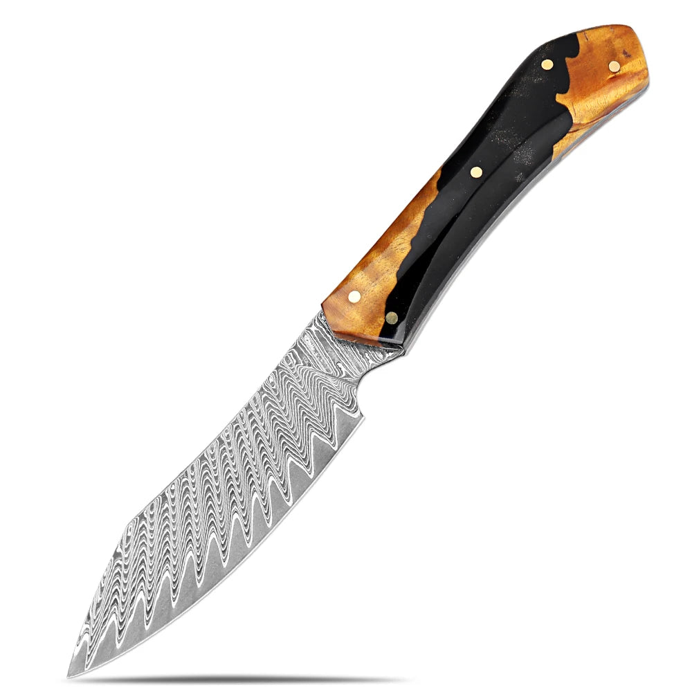 XITUO 67-Layer Damascus Steel Kitchen Knife Set – Ultra Sharp Kitchen Knife Set Qst Paring knife