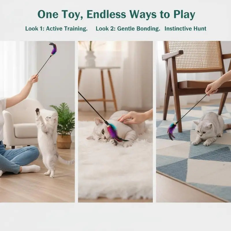 Cat Interactive Wand Toy – Colorful Chicken Stick & Bell Cat Wand Toy Qme