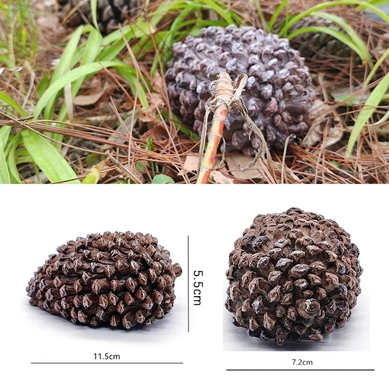 Hidden Pine Cone Key Safe Box – Outdoor Garden Key Storage Outdoor Key Safe Qme
