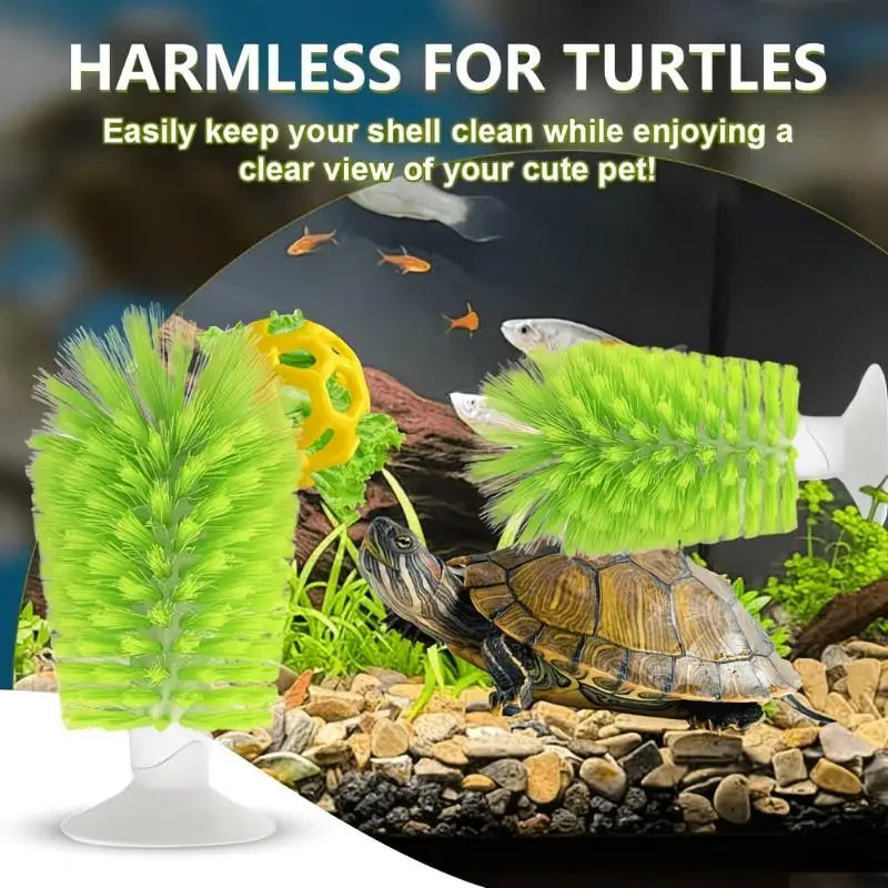 Turtle Shell Cleaning Brush & Feeding Ball – Tank Accessory Reptile Grooming Tool Qst