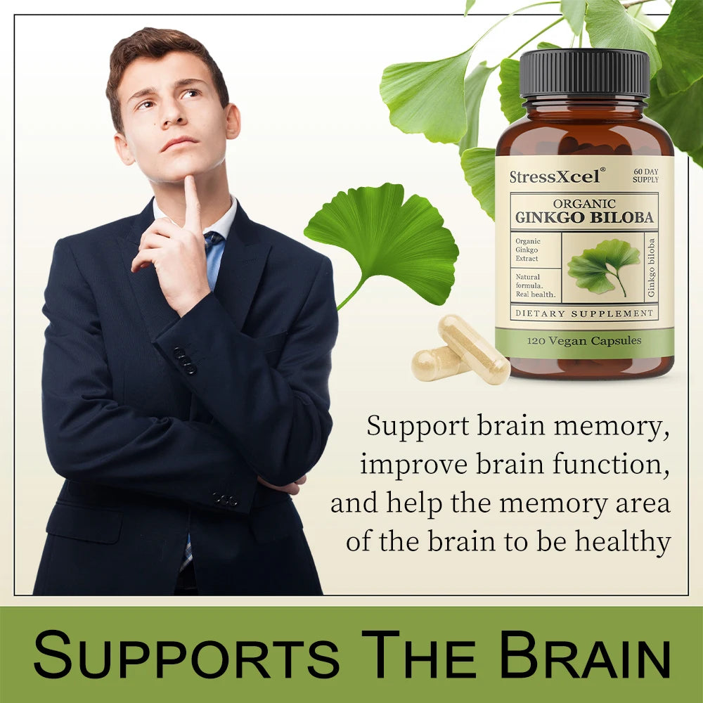 Ginkgo Biloba Capsules – Memory, Focus & Cognitive Support Herbal Supplement Qst