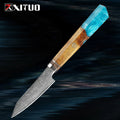 XITUO 4-Inch Damascus Steel Paring Knife – Resin & Wood Handle Damascus Paring Knife Qst Paring knife