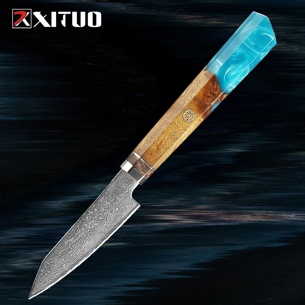 XITUO 4-Inch Damascus Steel Paring Knife – Resin & Wood Handle Damascus Paring Knife Qst Paring knife