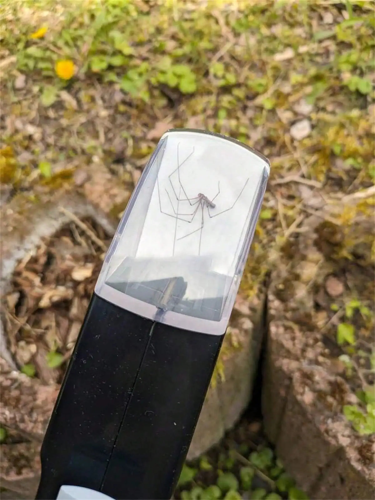 Handheld Insect Trap – Spider, Bee & Bug Capture Tool Insect Capture Tool Qme
