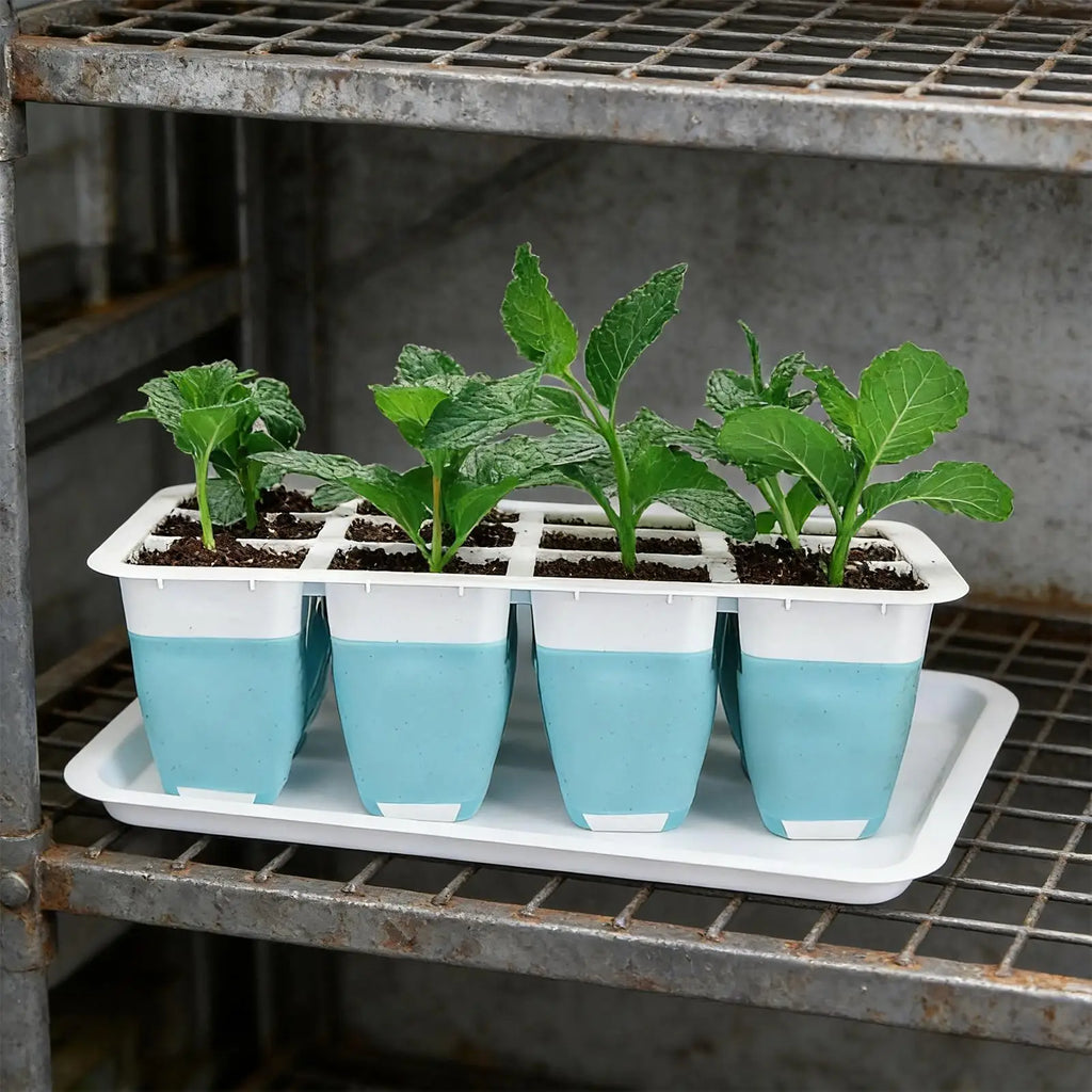 60-Cell Silicone Seedling Starter Tray for Indoor Growing Seedling Starter Tray Qme