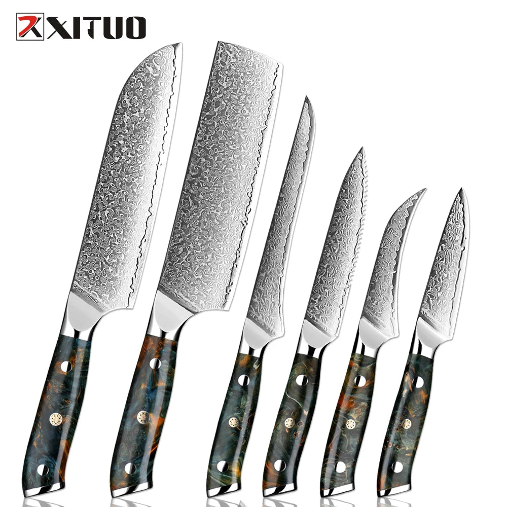 XITUO Damascus Kitchen Knife Set 1-6PCS – Santoku & Boning Kitchen Knife Set Qst 6PCS Knife