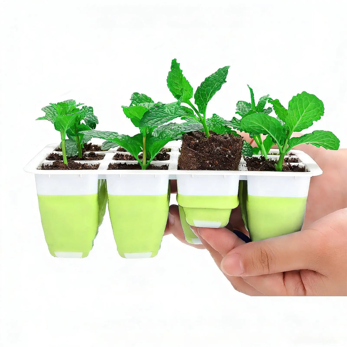 60-Cell Silicone Seedling Starter Tray for Indoor Growing Seedling Starter Tray Qme