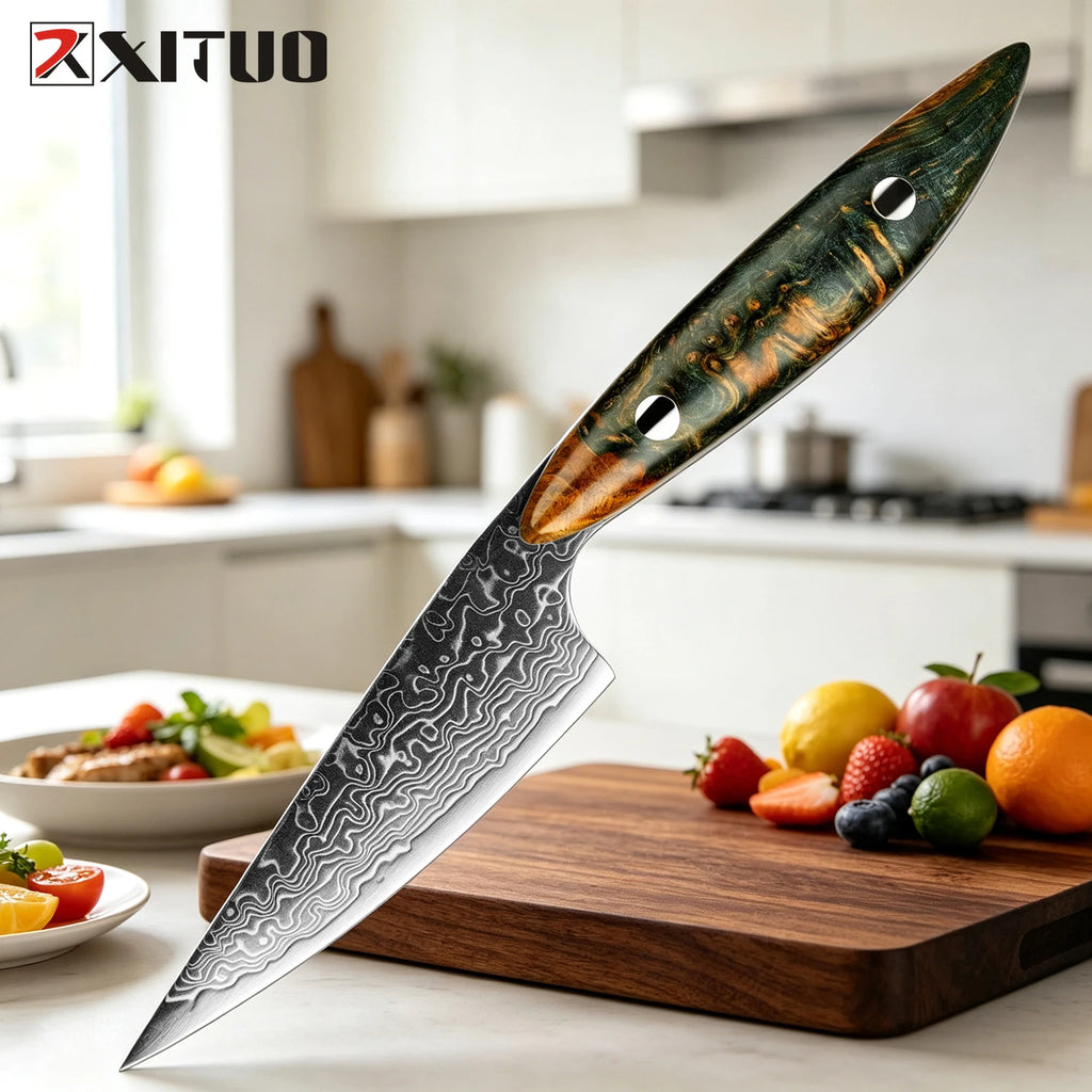 XITUO 3.5" Damascus Steel Paring Knife – Wood Handle Damascus Paring Knife Qst Paring KnifeB