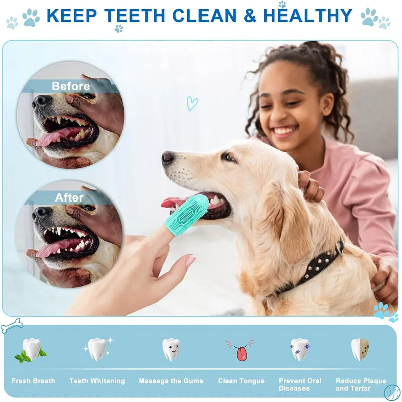 4-Piece Dog & Cat Toothbrush Set | Pet Teeth Cleaning Kit Pet Toothbrush Set Qme