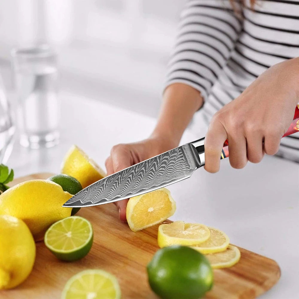 XITUO 3.5" Damascus VG10 Paring Knife – 67-Layer Red Resin Handle Damascus Paring Knife Qst