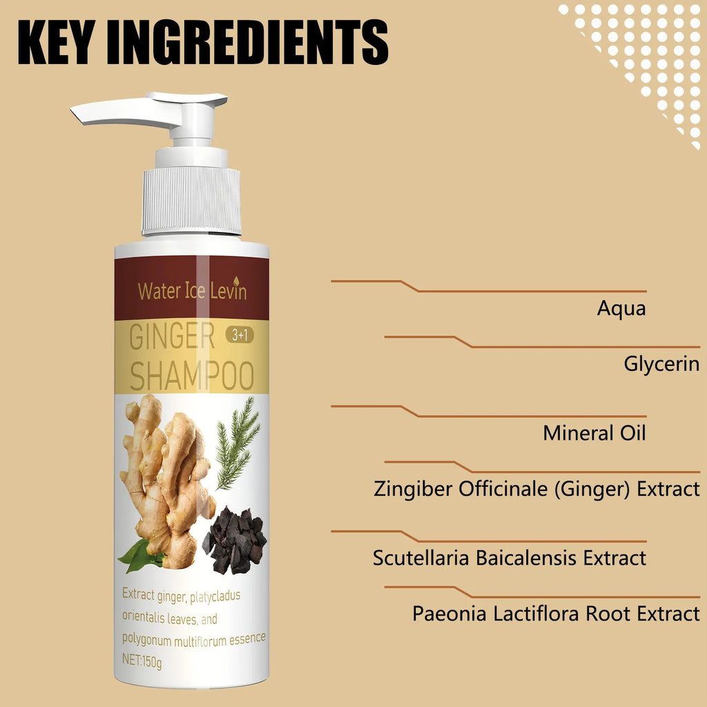 Ginger Regrowth Shampoo – Oil Control & Dandruff Removal Hair Growth Shampoo Qme
