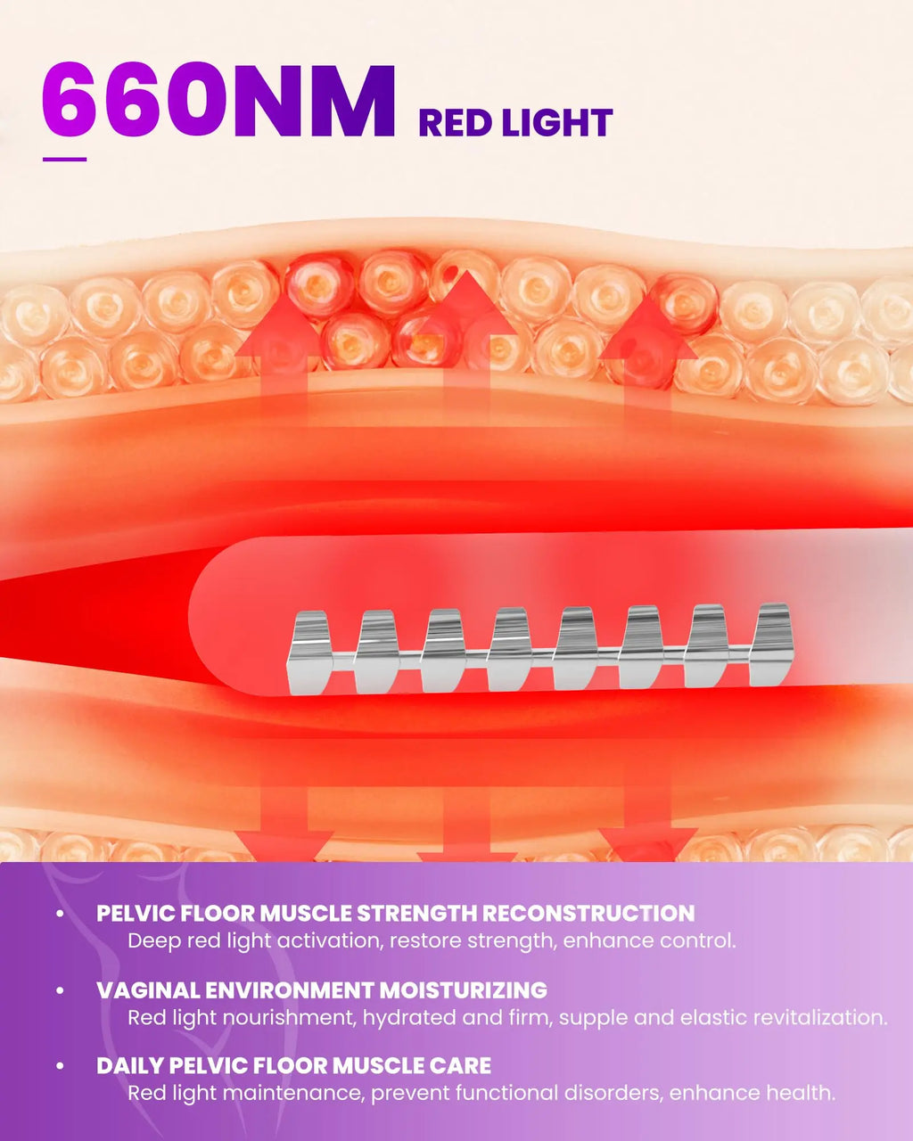 Pelvic Floor Trainer – Red & Blue Light EMS Wellness Device Intimate Wellness Device Qst