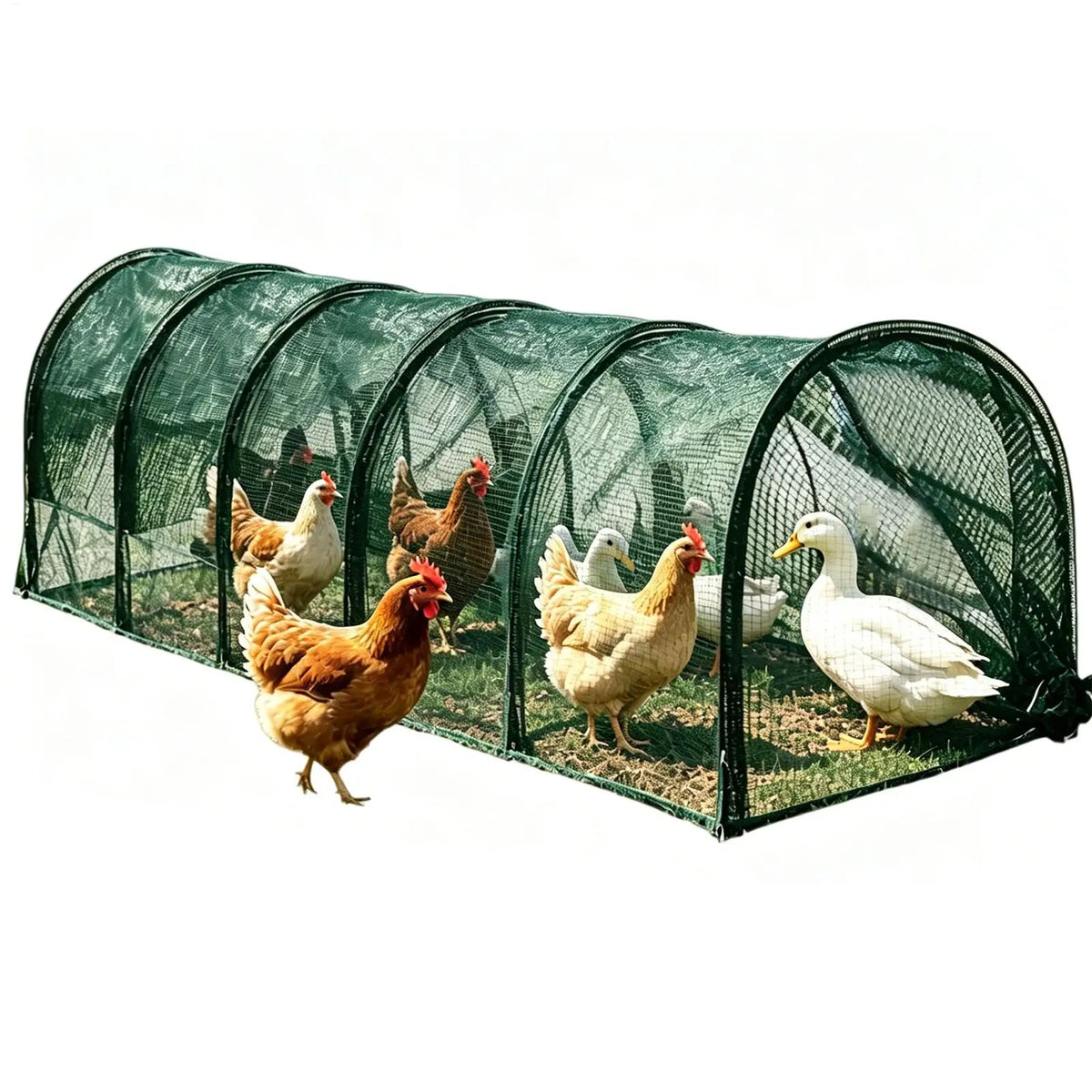 Foldable Chicken Tunnel Enclosure – Flexible Outdoor Poultry Run Poultry Tunnel Run Qme