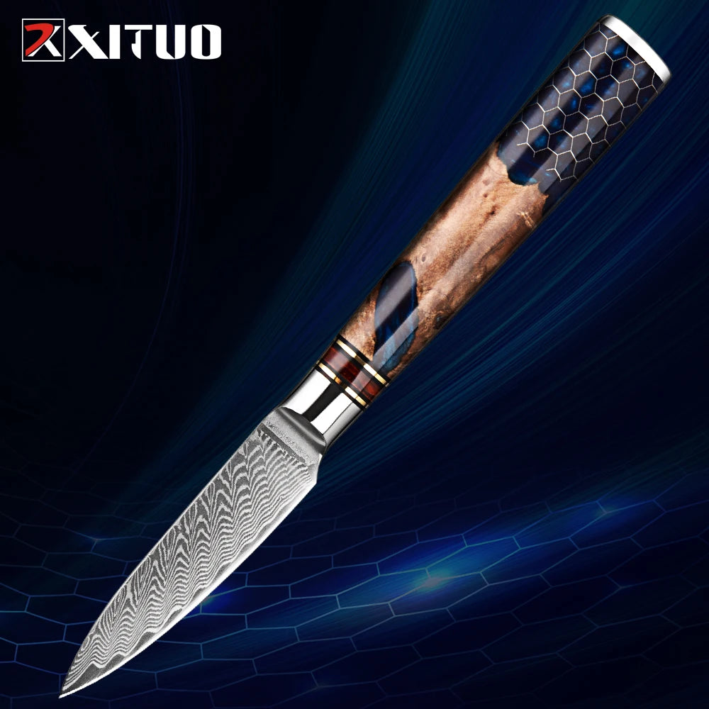 XITUO 3.5" Damascus Steel Paring Knife – Full Tang Wood Handle Damascus Paring Knife Qst Paring Knife