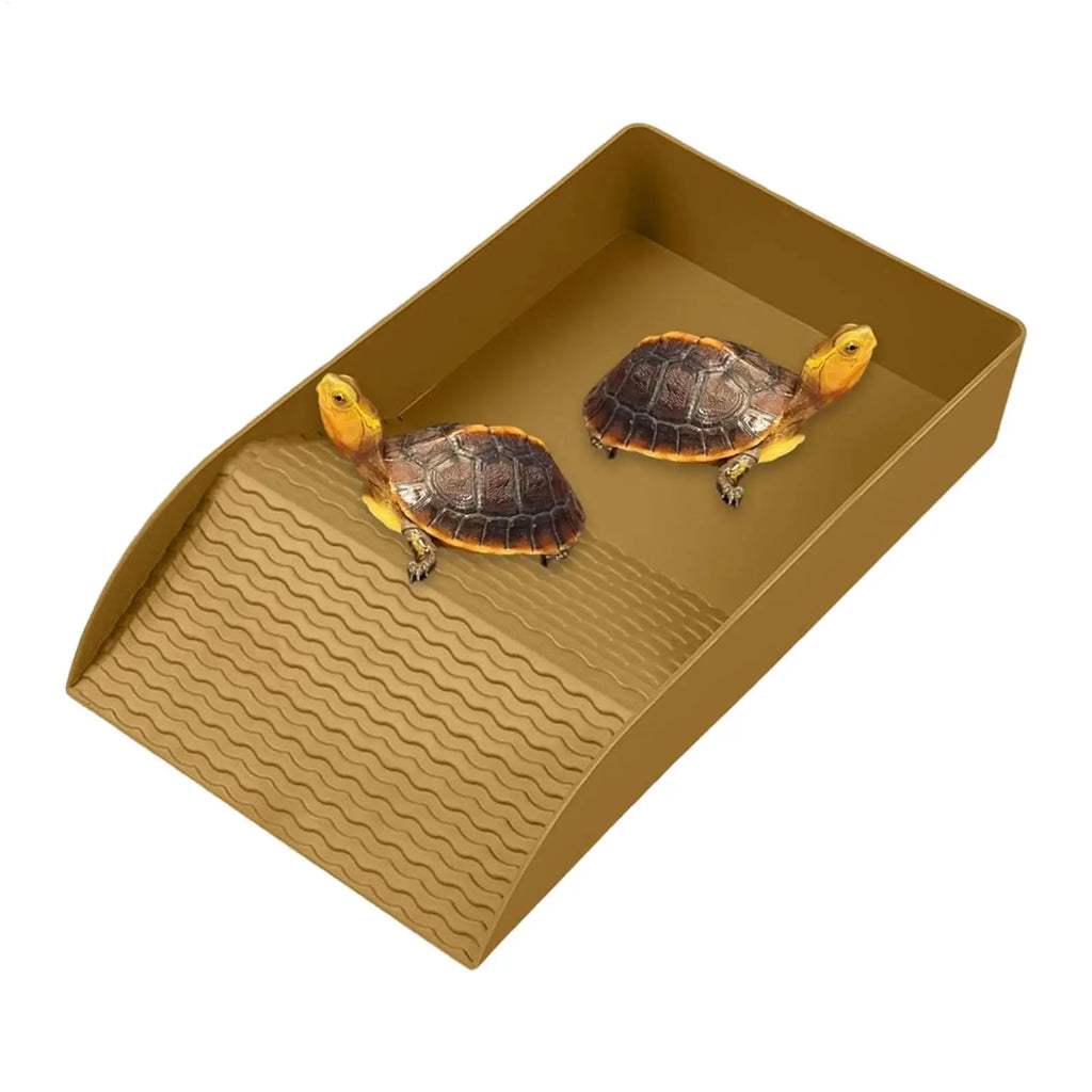 Tortoise Water Bowl & Reptile Bathing Dish with Ramp | Qme Reptile Bathing Dish Qme