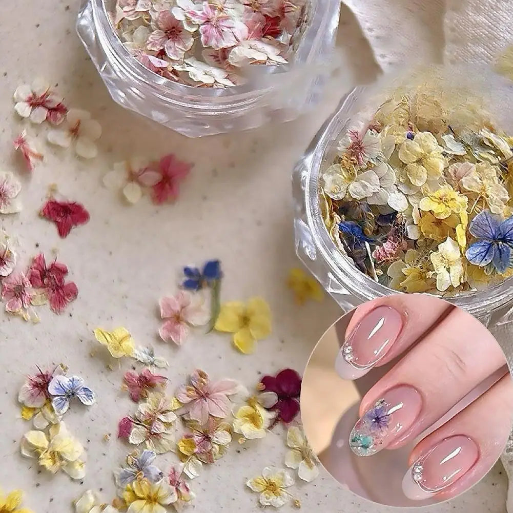 3D Dried Flower Nail Art Stickers – Floral Decal Mix Nail Art Stickers Qme