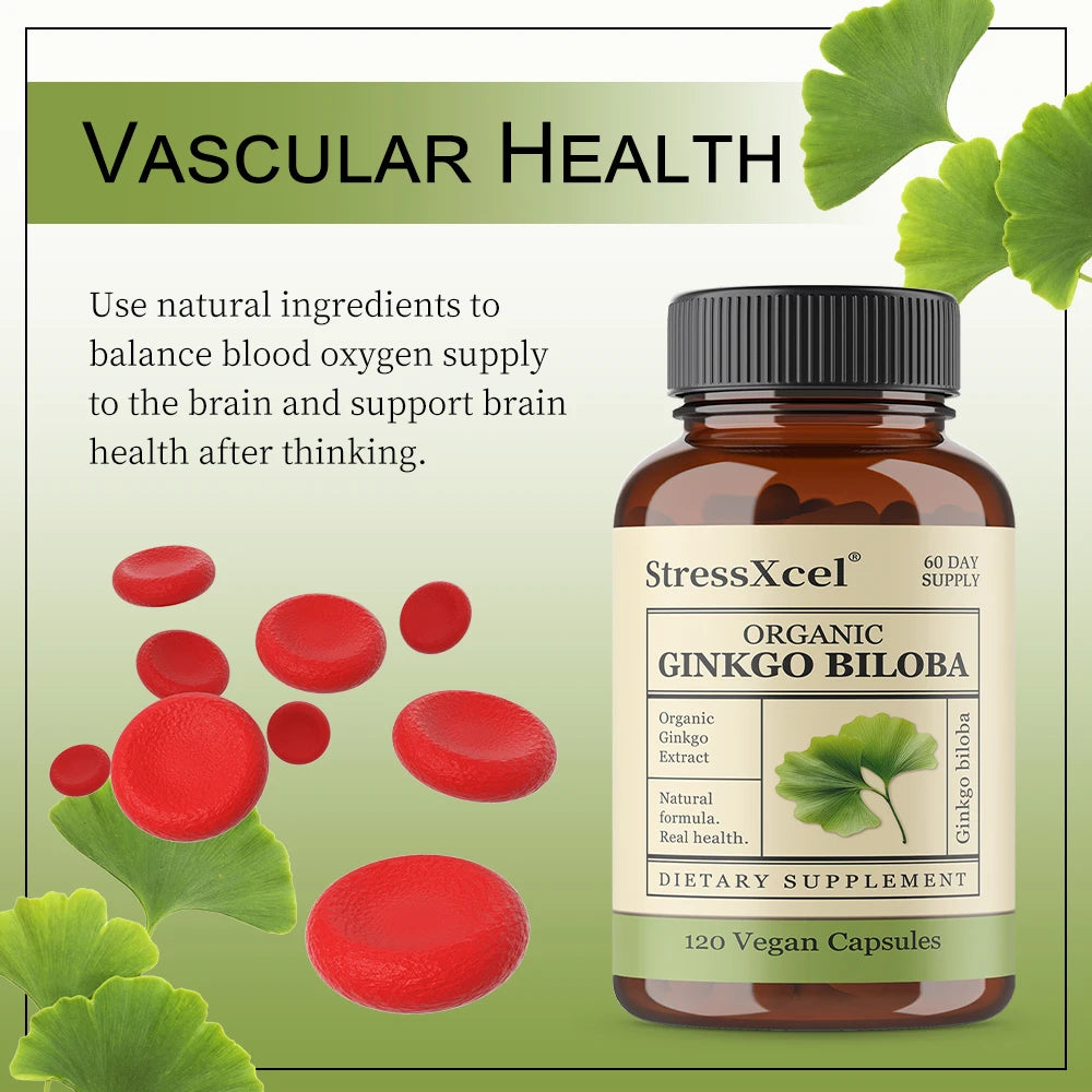 Ginkgo Biloba Capsules – Memory, Focus & Cognitive Support Herbal Supplement Qst