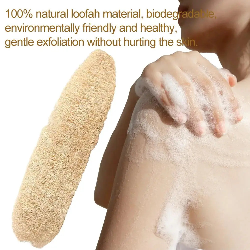Natural Organic Loofah Sponge – Exfoliating Luffa Body Scrubber Exfoliating Loofah Sponge Qme
