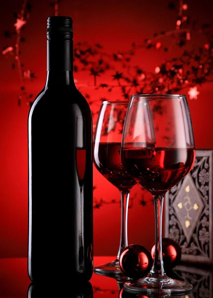 Modern Minimalist Wine & Cocktail Glass Canvas Wall Art Print