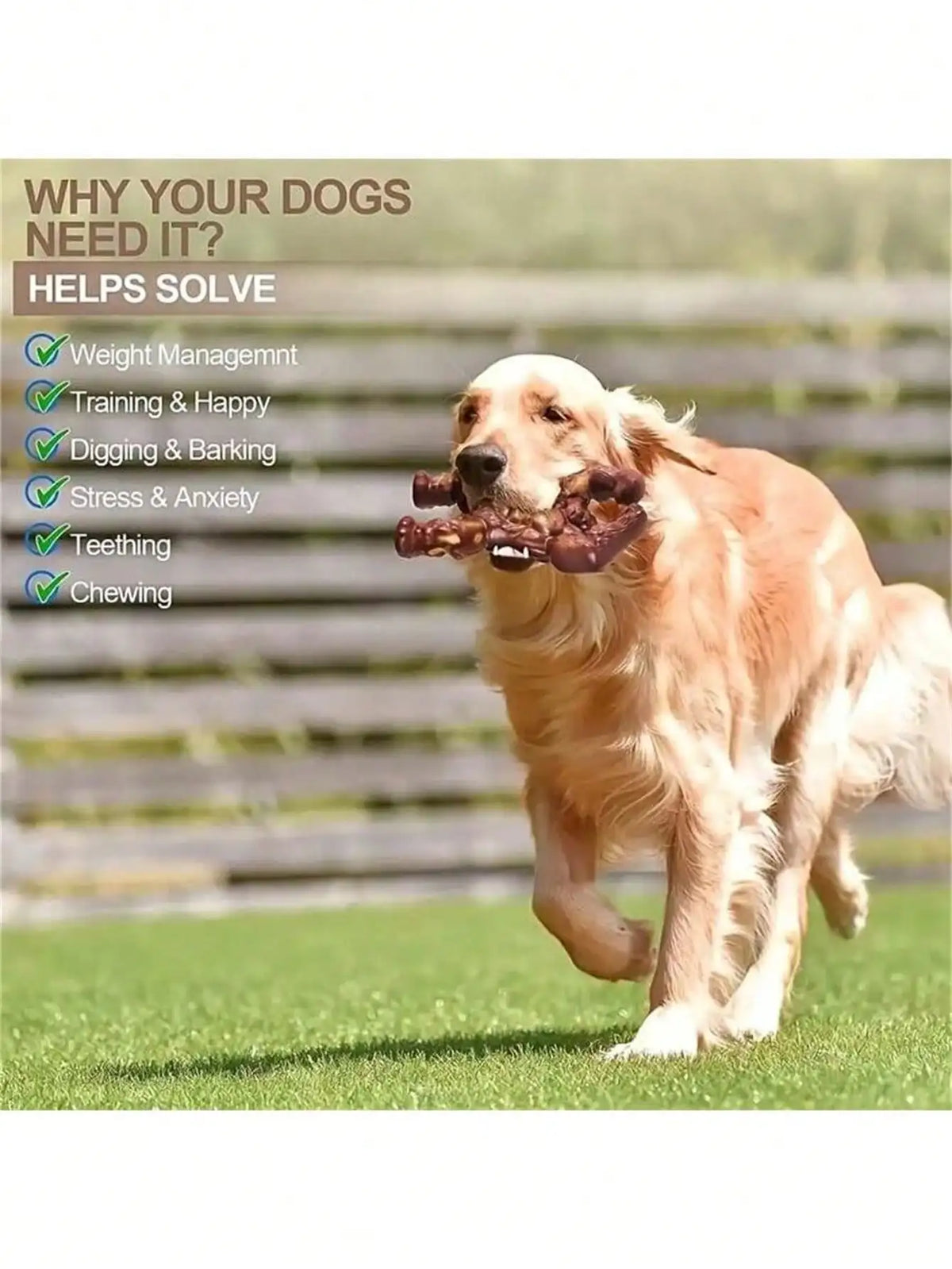 Beef Flavored Dog Chew Toy for Aggressive Chewers | Qme Dog Chew Toy Qme