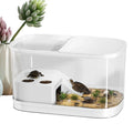 Reptile Habitat Enclosure Tank for Gecko, Bearded Dragon & More Reptile Habitat Tank Qme Clear CN