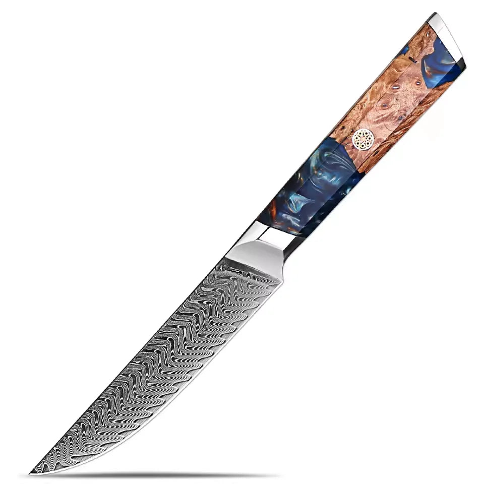 XITUO Damascus Steel Knife Set 1-6PCS – Blue Resin Handle Damascus Knife Set Qst Utility Knife