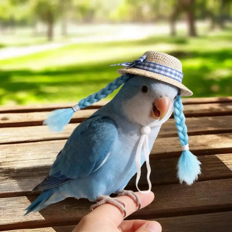 Pet Parrot Braid Wig Hat – 15 Colors | Bird & Hamster Costume Pet Costume Hat Qme