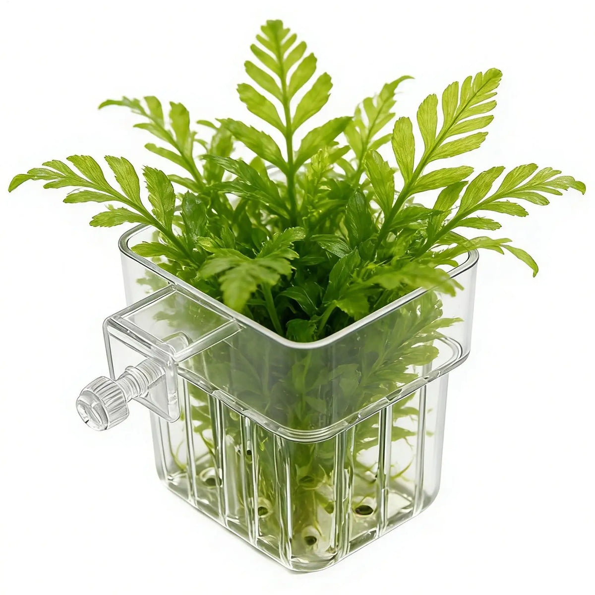 Transparent Hangable Aquatic Plant Holder Cup for Fish Tank Aquarium Plant Holder Qme