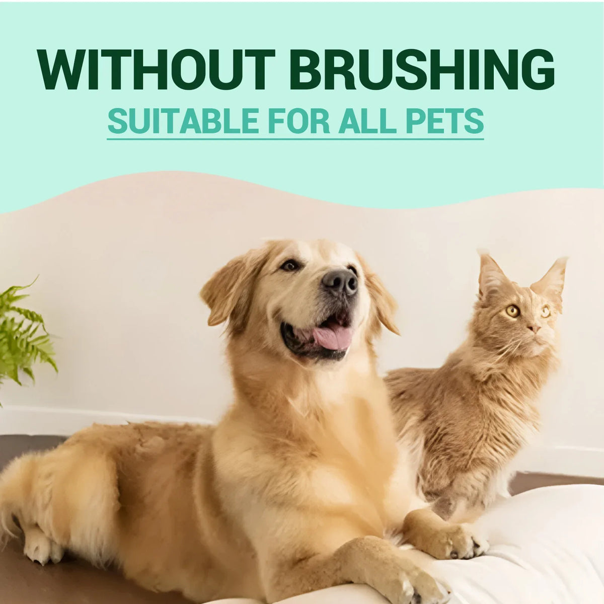 Pet Teeth Cleaning Gel – Dog & Cat Breath Freshener Pet Dental Gel Qme