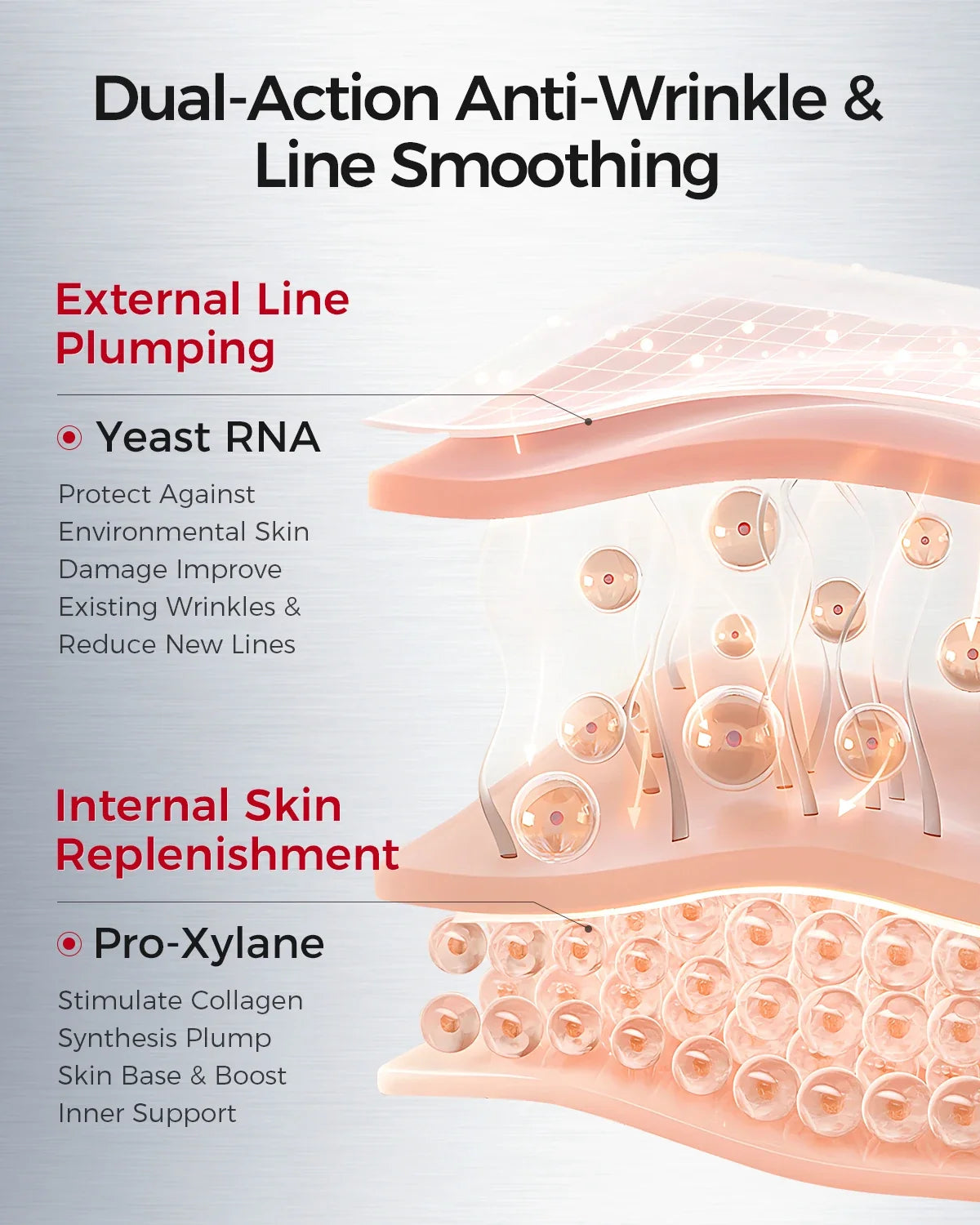 Firming Brightening Face Cream – Yeast RNA & Eudesmol | Qme Anti-Aging Face Cream Qme