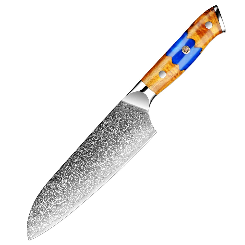XITUO Damascus Steel Kitchen Knife Set – 1-6PCS Pro Blades Kitchen Knife Set Qst Santoku Knife