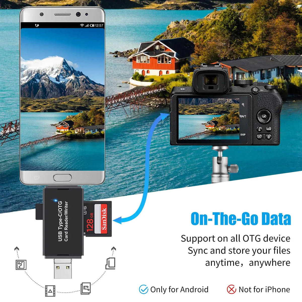 3-in-1 OTG SD/TF Memory Card Reader – USB, Micro USB & USB-C Memory Card Reader Qme