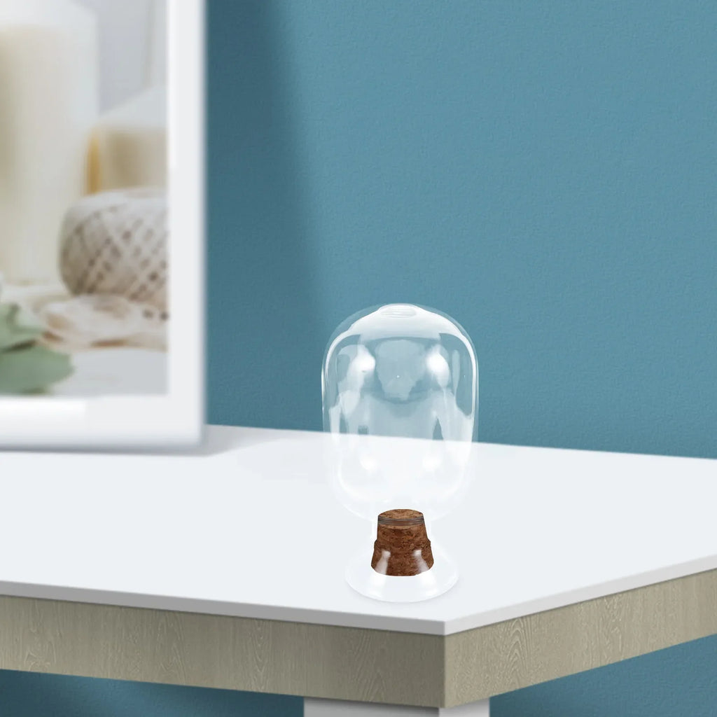 Small Clear Glass Bottle Cork Stopper | Decorative Display Decorative Bottle Qme